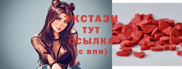 гидра Надым