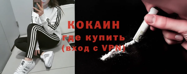 шишки Нефтегорск