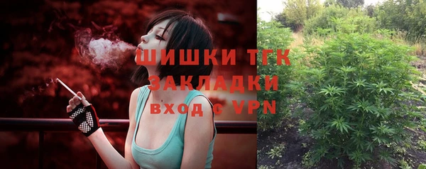 шишки Нефтегорск