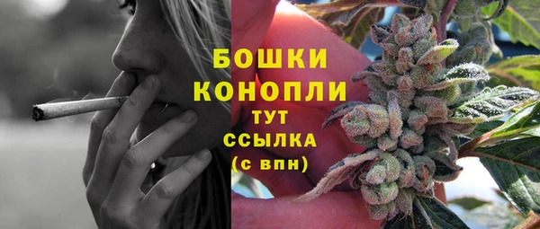гидра Надым