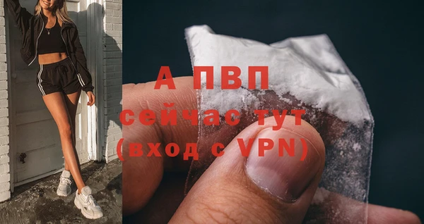 шишки Нефтегорск