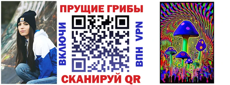 купить наркотики сайты Новодвинск Псилоцибиновые грибы мухоморы