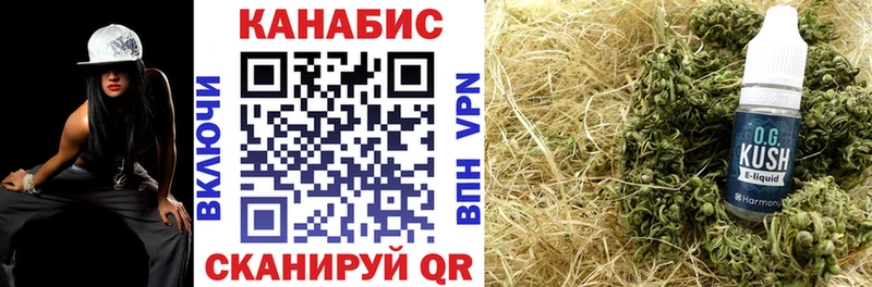 Конопля гибрид  Новодвинск 